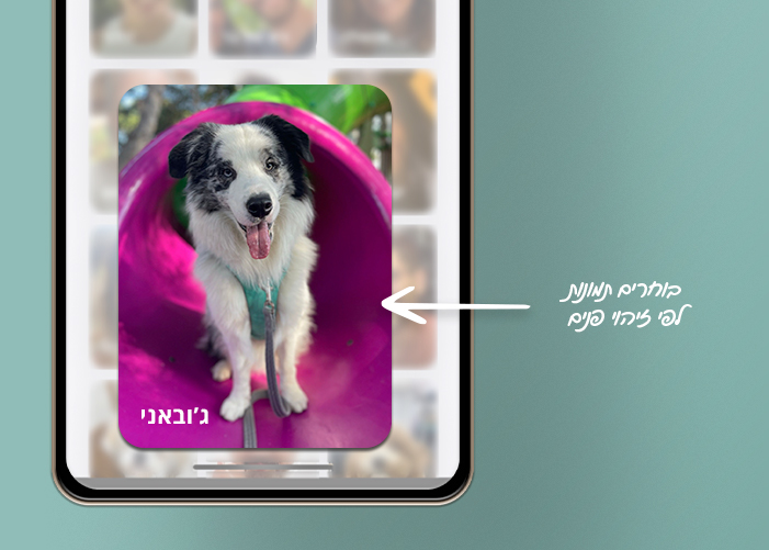 זיהוי פנים בטלפון